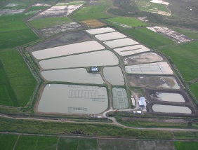 Ponds at Tropo Farms, Ghana