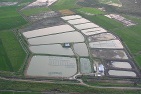 Teichanlage Tropo Farms, Ghana
